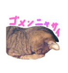 もぐむぎといいこ達（個別スタンプ：22）