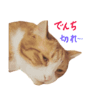 もぐむぎといいこ達（個別スタンプ：23）