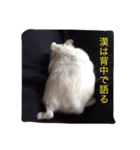 やんちゃハムスター（個別スタンプ：2）