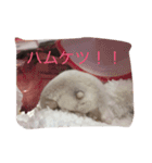 やんちゃハムスター（個別スタンプ：6）