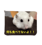 やんちゃハムスター（個別スタンプ：8）