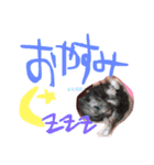 黒いしおちゃん（個別スタンプ：2）