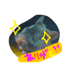 黒いしおちゃん（個別スタンプ：3）