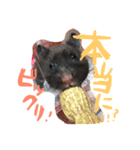 黒いしおちゃん（個別スタンプ：8）
