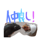 黒いしおちゃん（個別スタンプ：15）