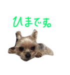 モイモイのほんわかスタンプ（個別スタンプ：1）