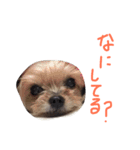モイモイのほんわかスタンプ（個別スタンプ：3）
