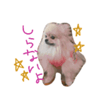 ジルᵃⁿᵈチュナ（個別スタンプ：2）