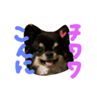 ジルᵃⁿᵈチュナ（個別スタンプ：3）