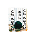 ながとも家 家族（個別スタンプ：2）