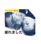 ながとも家 家族（個別スタンプ：7）