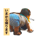 ながとも家 家族（個別スタンプ：9）