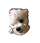 ぼく ふくです。（個別スタンプ：2）