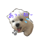 ぼく ふくです。（個別スタンプ：3）
