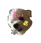 ぼく ふくです。（個別スタンプ：4）