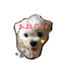 ぼく ふくです。（個別スタンプ：5）