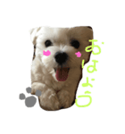 ぼく ふくです。（個別スタンプ：6）