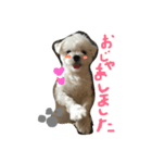 ぼく ふくです。（個別スタンプ：7）