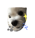ぼく ふくです。（個別スタンプ：8）