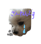 ぼく ふくです。（個別スタンプ：9）