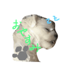 ぼく ふくです。（個別スタンプ：10）