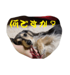 リアンちゃん パート2（個別スタンプ：1）
