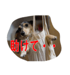 リアンちゃん パート2（個別スタンプ：4）