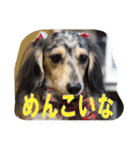リアンちゃん パート2（個別スタンプ：5）