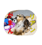リアンちゃん パート2（個別スタンプ：6）