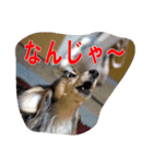 リアンちゃん パート2（個別スタンプ：7）