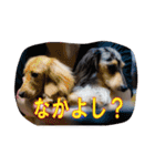 リアンちゃん パート2（個別スタンプ：9）