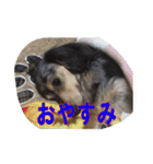 リアンちゃん パート2（個別スタンプ：11）