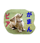 リアンちゃん パート2（個別スタンプ：13）