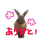 可愛い娘達＆息子（個別スタンプ：7）