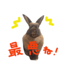 可愛い娘達＆息子（個別スタンプ：13）