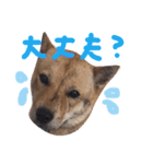 可愛い娘達＆息子（個別スタンプ：15）
