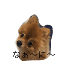 えんのすけと仲間たち（個別スタンプ：6）
