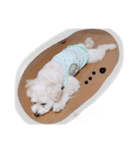 gimnam（個別スタンプ：1）