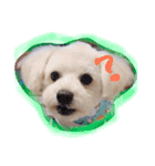 gimnam（個別スタンプ：2）