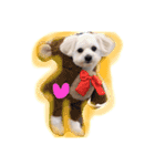 gimnam（個別スタンプ：5）