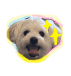 gimnam（個別スタンプ：7）
