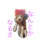 YOMOGI.（個別スタンプ：1）