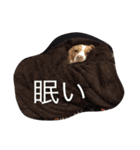 YOMOGI.（個別スタンプ：5）