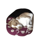YOMOGI.（個別スタンプ：11）