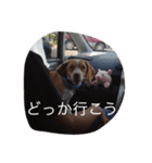 YOMOGI.（個別スタンプ：12）
