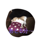 YOMOGI.（個別スタンプ：14）