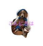YOMOGI.（個別スタンプ：15）
