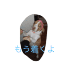 YOMOGI.（個別スタンプ：18）