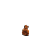 私の身の回りの人たち（個別スタンプ：14）