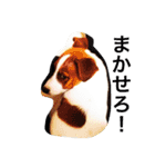 ヴィヴィからの一言（個別スタンプ：6）